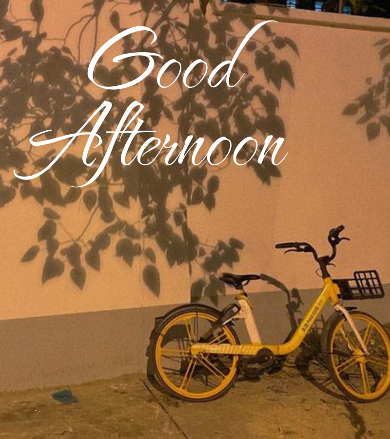 good afternoon images gif