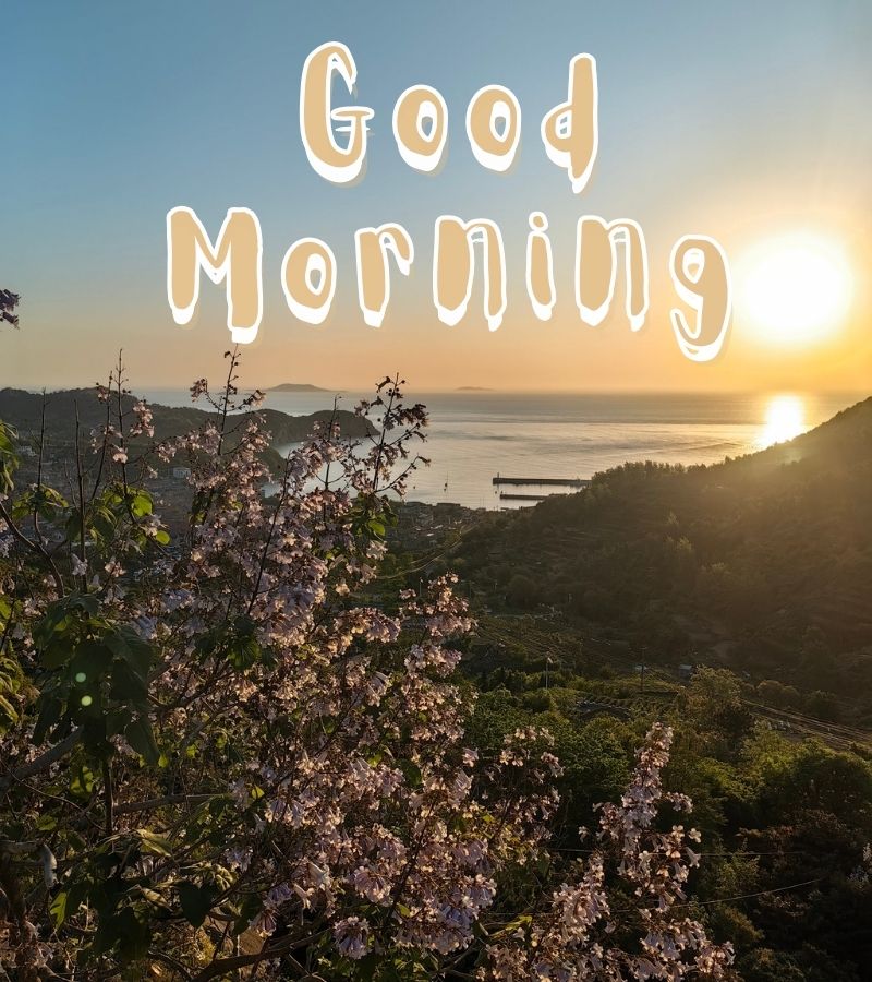 good morning images hindi
