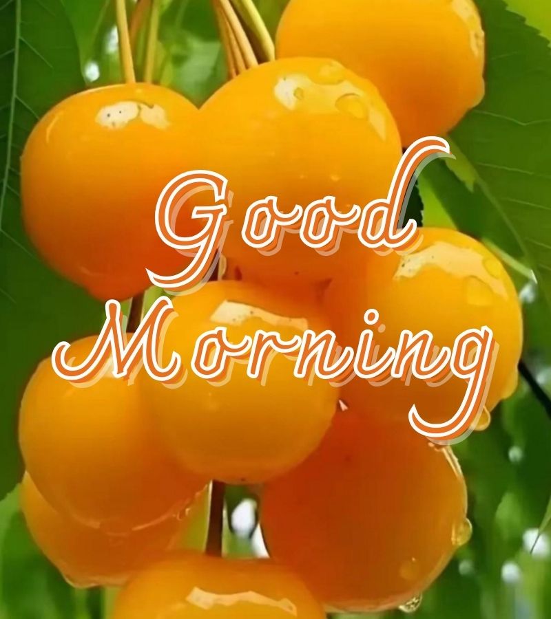 good morning images new style