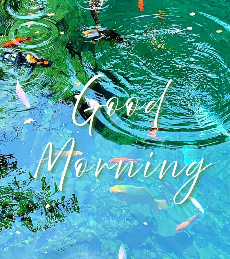 good morning images sunday