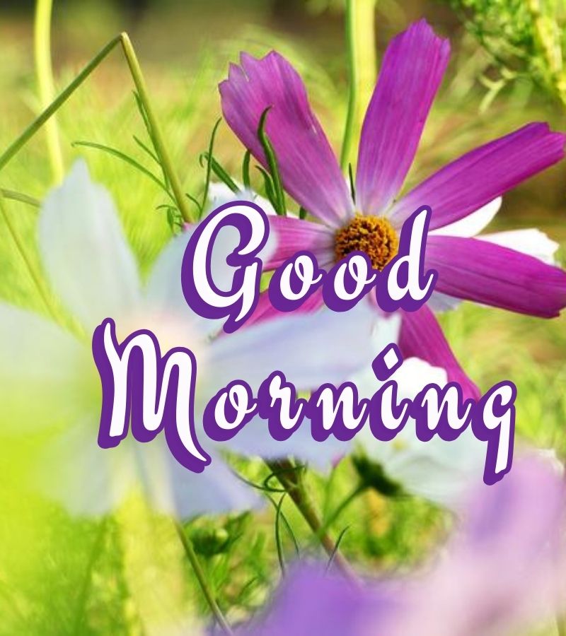 good morning images with quotes