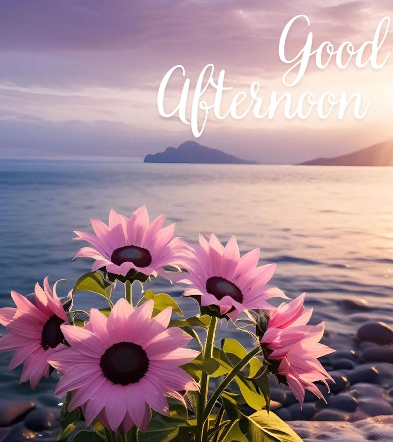 good night images new