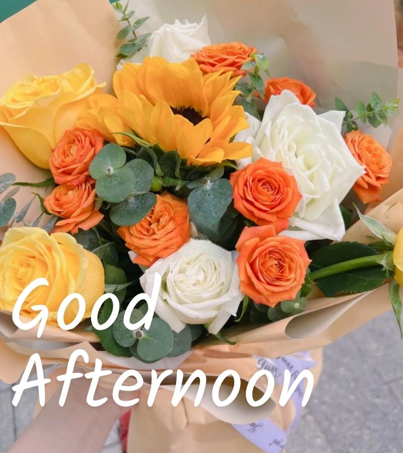good night images quotes