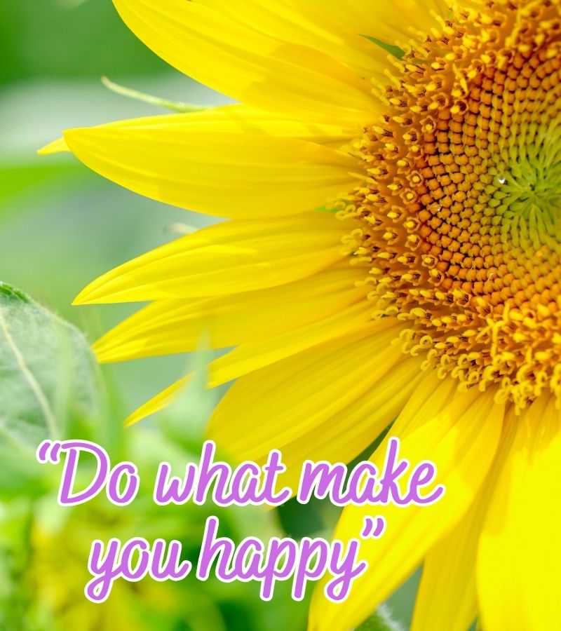 happy whatsapp status quotes