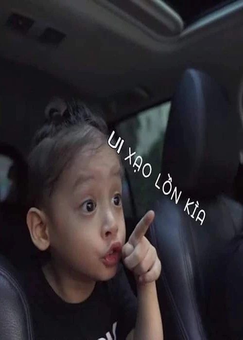 hình ảnh troll bựa