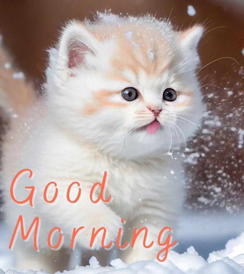 new good morning images
