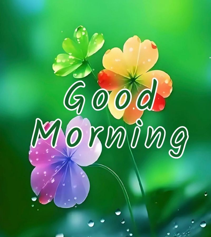 quotation good morning images