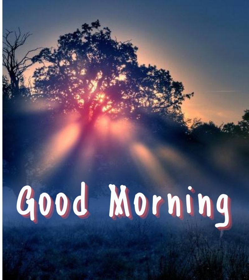 special good morning images