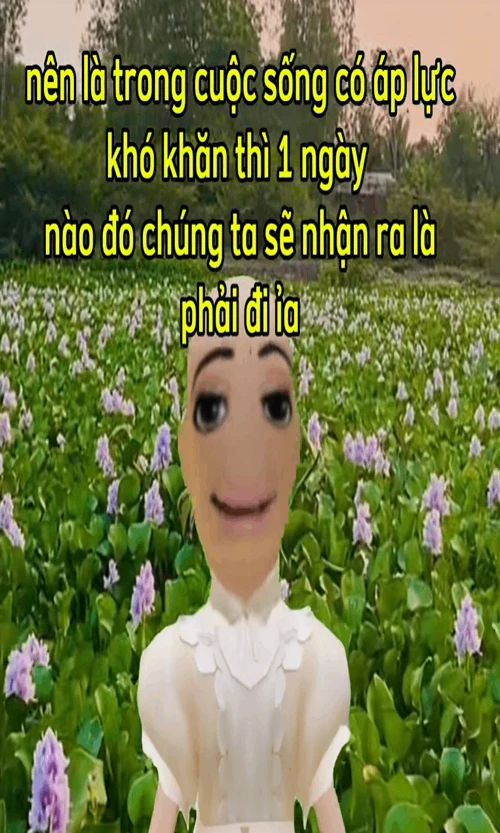 stupid picture quotes