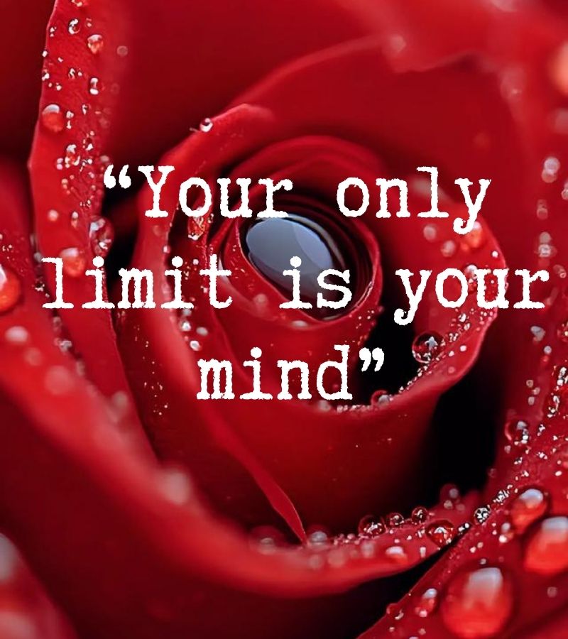 whatsapp status quotes about life