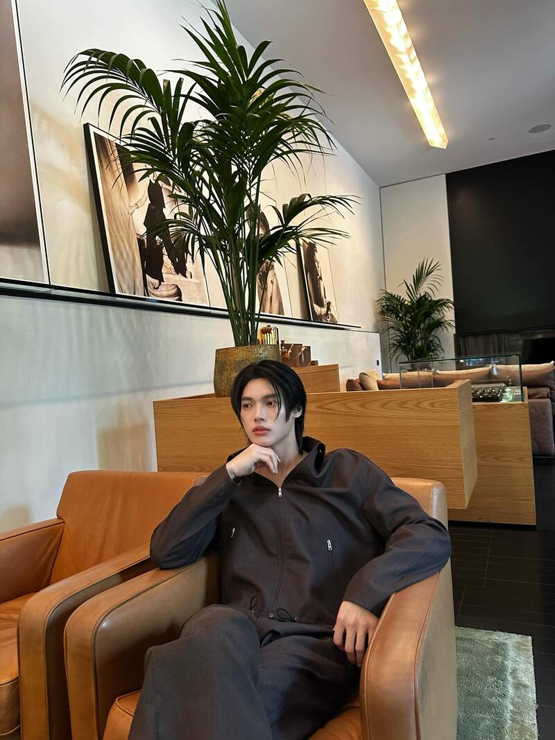 win metawin f4