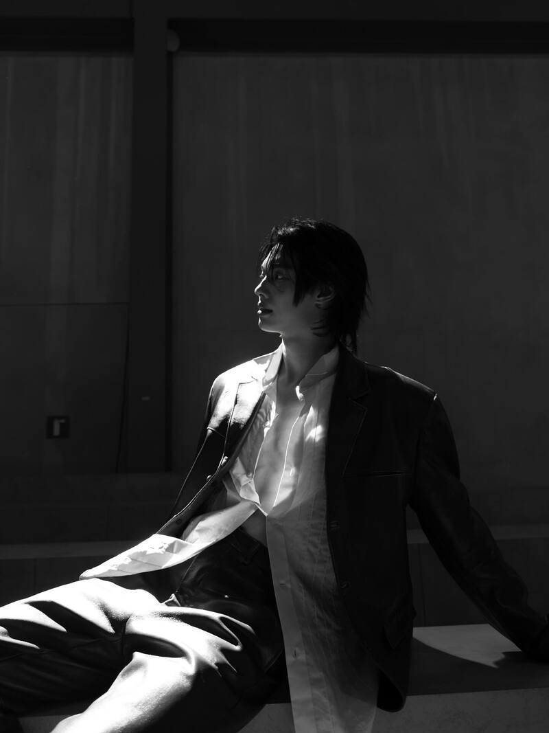 win metawin model