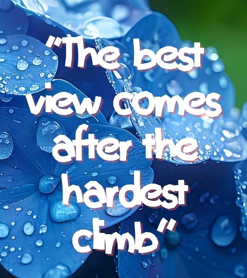x quotes