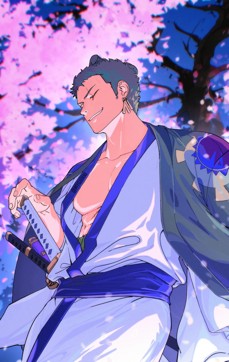anime zoro one piece