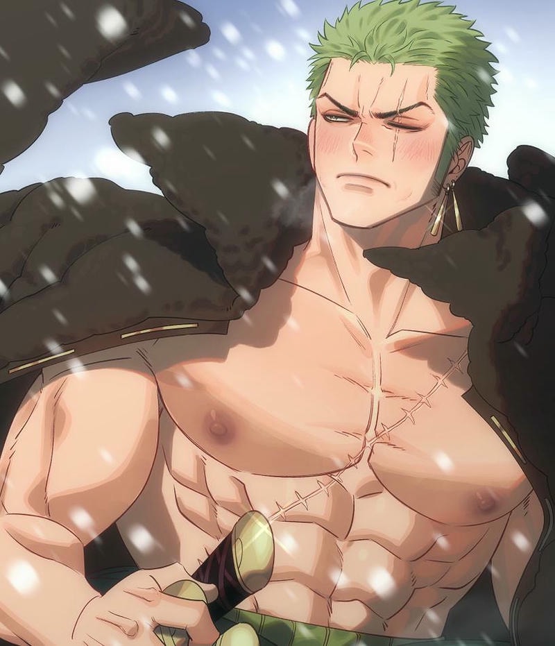 zoro anime episodes