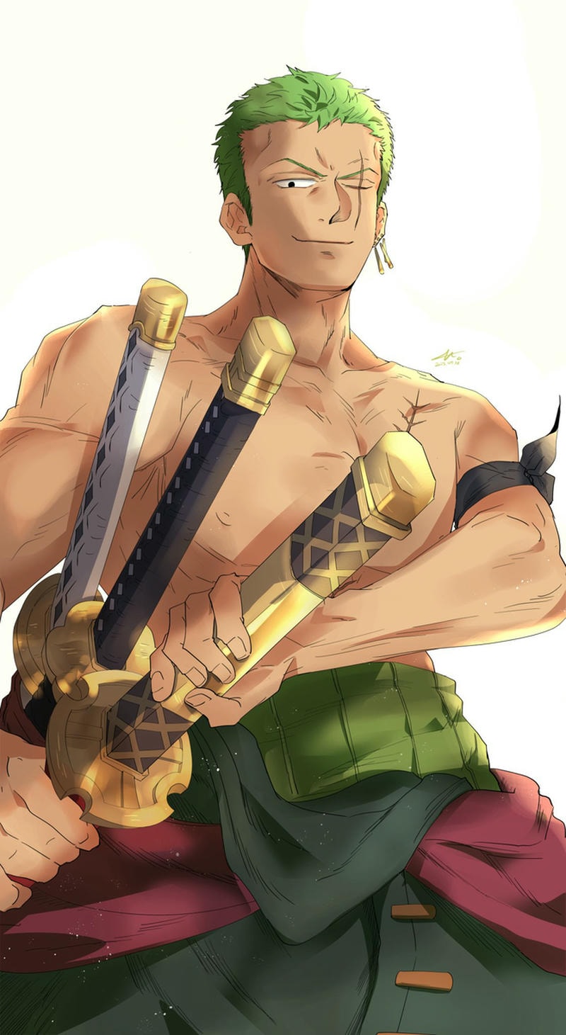 zoro in other anime